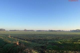 Gewerbeimmobilie kaufen in 49688 Lastrup, Bestes Ackerland in Lastrup-Hammesdamm zu verkaufen