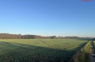 Gewerbeimmobilie kaufen in 49688 Lastrup, Bestes Ackerland in Lastrup-Hammesdamm zu verkaufen