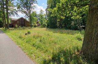 Grundstück zu kaufen in 31311 Uetze, Uetze - Spreewaldsee - Rarität für Liebhaber - Eigentums-Baugrundstück