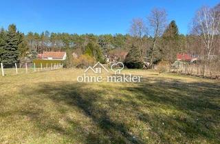 Grundstück zu kaufen in 14929 Treuenbrietzen, Naturnahes Baugrundstück mit Baugenehmigung - sofort loslegen