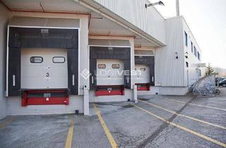 Büro zu mieten in 85591 Vaterstetten, Ca. 8.000 m² Lager- und Produktionsfläche mit Büro nahe der A94 – flexibel nutzbar