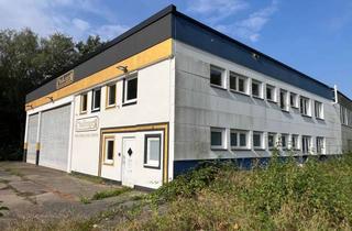 Büro zu mieten in An Der Saline 20, 34385 Bad Karlshafen, Zwei vielseitig nutzbare Hallen mit Büro- und Aufenthaltsräumen zur Vermietung in Bad Karlshafen