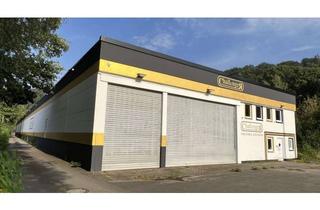 Gewerbeimmobilie kaufen in 34385 Bad Karlshafen, Zwei vielseitig nutzbare Hallen mit Büro- und Aufenthaltsräumen zum Kauf in Bad Karlshafen