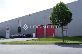 Gewerbeimmobilie mieten in 85609 Aschheim, Ca. 5.000 m² Lagerfläche nahe der A9 – flexibel einsetzbar