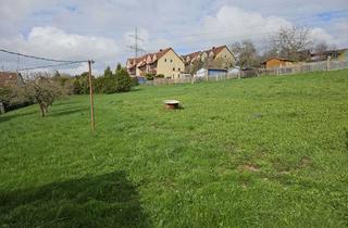 Grundstück zu kaufen in Wolfsgefärth 11, 07557 Zedlitz, Großes Grundstück (2.151 m²) mit Altbestand – Sanierungs- oder Abrissobjekt in Zedlitz (Thüringen)