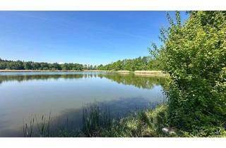 Bauernhaus kaufen in 88448 Attenweiler, Attenweiler - Pferdehaltung? Bauernhaus mit Scheune, Nebengebäuden und viel Land zu verkaufen!