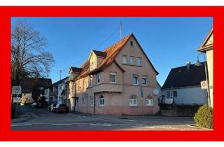 Wohnung kaufen in 74392 Freudental, Top renovierte Wohnung in kleiner Wohneinheit