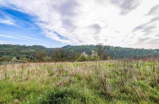 Wohnung kaufen in 74259 Widdern, Wow- knapp 179 m² Gartenanteil! 3-Zimmer-Wohnung im Neubau.