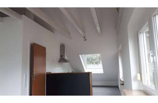 Wohnung mieten in 79400 Kandern, Helle DG Studiowohnung mit EBK in Kandern Wollbach