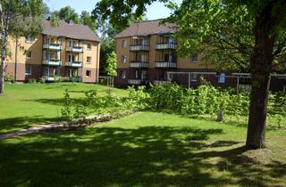 Wohnung mieten in Witzlebenstraße 48, 29223 Celle, Witzlebenstraße 48