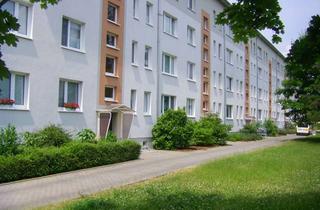 Wohnung mieten in Querstraße 16, 04808 Wurzen, Moderne 2-Raumwohnung in der Beletage, in grüner Umgebung!