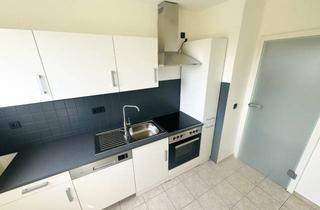 Wohnung mieten in Postweg 56, 01796 Pirna, Frisch Renovierte 2 Zimmer Wohnung in Pirna mit Einbauküche