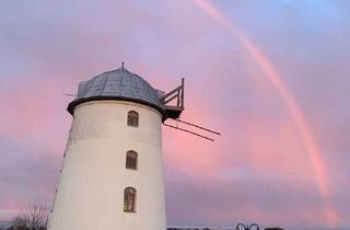 Einfamilienhaus kaufen in 04828 Bennewitz, Ein Einfamilienhaus mit außergewöhnlicher Gebäudestruktur.