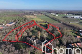 Haus kaufen in 03099 Kolkwitz, Wer rettet mich aus dem Dornröschenschlaf - Ehemaliger HERRENSITZ Schloss Krieschow bei Cottbus