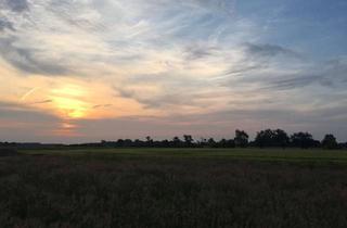 Haus kaufen in 48282 Emsdetten, Ein Neubau von BIEN ZENKER, der bleibt. Werte, die tragen.