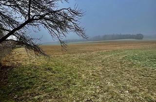 Haus kaufen in 86554 Pöttmes, Ein Haus mit vielen Möglichkeiten!!!