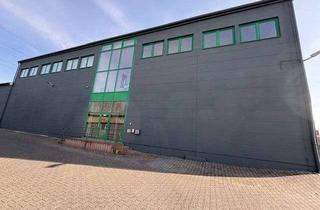 Gewerbeimmobilie kaufen in Industriestr. 1C2, 63505 Langenselbold, ** Gewerbeobjekt ideal für Logistik, Handel* Lager-* Sport-und Freizeit Büro*Parkflächen*