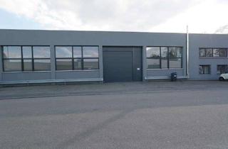 Büro zu mieten in 76275 Ettlingen, Vielseitig nutzbare Lagerhalle mit Büro – ab 05/2026 verfügbar