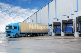 Gewerbeimmobilie mieten in 64579 Gernsheim, Attraktive Fläche | 5000m² Logistikfläche | 15 Rampen