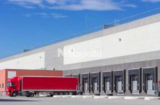 Gewerbeimmobilie mieten in 65462 Ginsheim-Gustavsburg, Jetzt zuschlagen! | 8000m² Logistikfläche | WGK 2-fähig | 8 Rampen