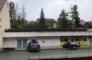 Gewerbeimmobilie kaufen in Althäuser Str. 14, 97980 Bad Mergentheim, Günstig gelegene Halle für verschiedene Nutzungsmöglichkeiten