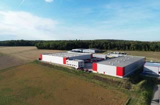 Gewerbeimmobilie mieten in 97941 Tauberbischofsheim, Lagerhalle Tauberbischofsheim