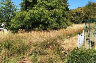 Grundstück zu kaufen in Meisenweg, 97922 Lauda-Königshofen, Großes Baugrundstück in bester Aussichtslage!