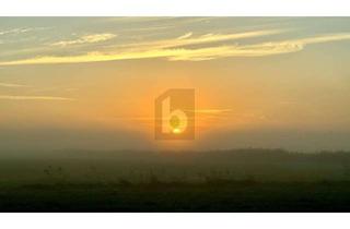 Grundstück zu kaufen in 18375 Ostseebad Prerow, TOP INVESTITIONSOBJEKT IN RUHIGER IDYLLE