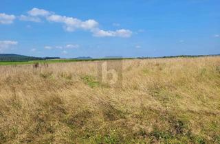 Grundstück zu kaufen in 54534 Großlittgen, IHR WEG ZUM EIGENHEIM IN IDYLLISCHER EIFFELLAGE