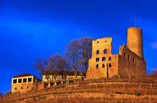 Grundstück zu kaufen in 69198 Schriesheim, Von Privat. Großes Grundstück mit Altbestand in Schriesheim/Branich zu verkaufen.