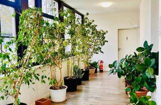 Praxen kaufen in Darmstädter Str. 121, 64521 Groß-Gerau, Gewerbeobjekt (Arztpraxis) mit BAUGRUNDSTÜCK.