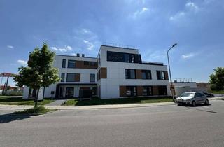 Büro zu mieten in 67454 Haßloch, Büroräume in innovativem innospace (1-4 Pers.)