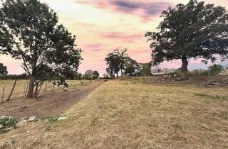 Gewerbeimmobilie kaufen in 31535 Neustadt, Grünfläche/Weidefläche in bewirtschafteter Lage ideal für Investoren oder Betriebe gute Ertragsm