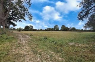 Gewerbeimmobilie kaufen in 31535 Neustadt, Grünfläche/Weidefläche in bewirtschafteter Lage ideal für Investoren oder Betriebe gute Ertragsm