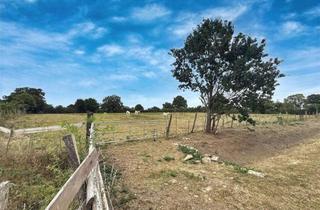 Gewerbeimmobilie kaufen in 31535 Neustadt, Grünfläche/Weidefläche in bewirtschafteter Lage ideal für Investoren oder Betriebe gute Ertragsm