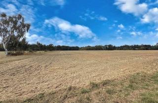 Gewerbeimmobilie kaufen in 31535 Neustadt, Ackerfläche in bewirtschafteter Lage ideal für Investoren oder Betriebe gute Ertragsmöglichkeiten