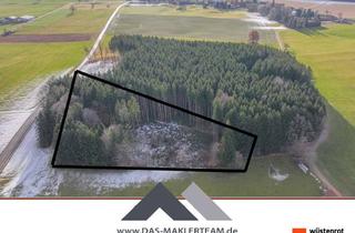 Gewerbeimmobilie kaufen in 86946 Vilgertshofen, Waldgrundstück nähe Stadl/Vilgertshofen günstig zu verkaufen!