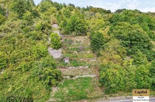 Gewerbeimmobilie kaufen in 74219 Möckmühl, Weinberggrundstück mit Potential