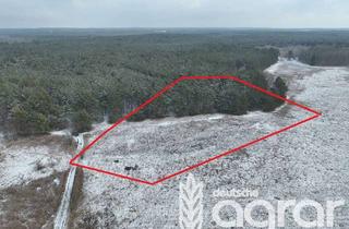 Gewerbeimmobilie kaufen in 15838 Am Mellensee, Acker mit Kiefernwaldanteil (ca. 1,5 ha) südl. v. Zossen