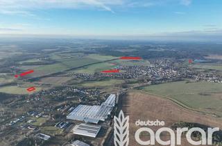 Gewerbeimmobilie kaufen in 02997 Wittichenau, Acker und Grünland (ca. 2,5 ha) in Wittichenau