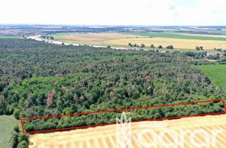 Gewerbeimmobilie kaufen in 04931 Mühlberg, Naturbelassene Obstplantage / Streuobstwiese (ca. 1,2 ha) Nahe der Elbe