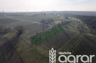 Gewerbeimmobilie kaufen in 60388 Bergen-Enkheim, Kleine Ackerfläche ca. 1.622 m² im Nordosten von Frankfurt - für Jedermann ohne Genehmigung