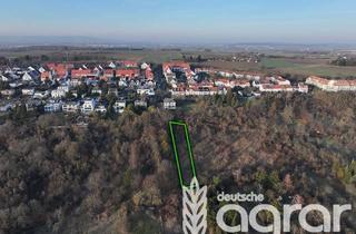 Gewerbeimmobilie kaufen in 60388 Bergen-Enkheim, Erholung vom Alltagsstress - Ruhiges Grundstück in Frankfurt-Bergen-Enkheim