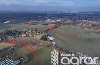 Gewerbeimmobilie kaufen in 02923 Horka, Acker und Grünland (ca. 5,8 ha) in der Oberlausitz - zw. Görlitz und Weißwasser