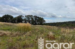 Gewerbeimmobilie kaufen in 01665 Klipphausen, Kleine Ackerfläche mit Laubmischwald (ca. 1 ha) nordwestlich von Dresden