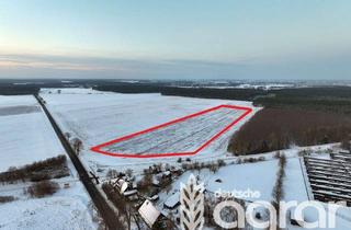 Gewerbeimmobilie kaufen in 14929 Treuenbrietzen, Pachtfreies Ackerland (ca. 3 ha) in attraktiver Lage bei Treuenbrietzen