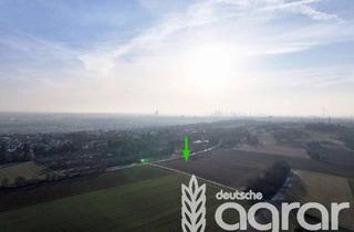 Gewerbeimmobilie kaufen in 60388 Bergen-Enkheim, Attraktive Ackerfläche ca. 0,7 ha am Stadtrand von Frankfurt am Main in Bergen-Enkheim
