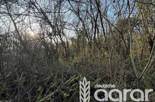 Gewerbeimmobilie kaufen in 60388 Bergen-Enkheim, Naturbelassene Grundstücke (ca. 477 m²) im Nordosten von Frankfurt am Main nahe Friedhof-Enkheim