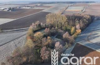 Gewerbeimmobilie kaufen in 74078 Kirchhausen, Aufgepasst - Freizeitgrundstück mit Teichen und Wald (ca. 1,2 ha) zw. Bad Rappenau und Heilbronn