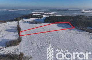 Gewerbeimmobilie kaufen in 17429 Benz, Grünland am Balmer See (ca. 2,7 ha) auf der Ostseeinsel Usedom